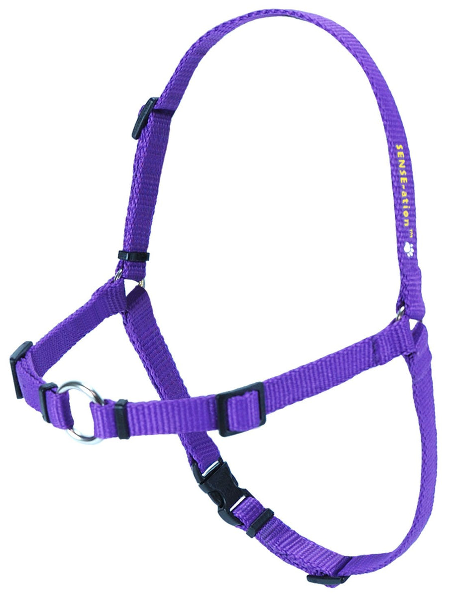 Softouch SenseAtion NoPull Dog Harness (Purple, Extra Small) Petocart