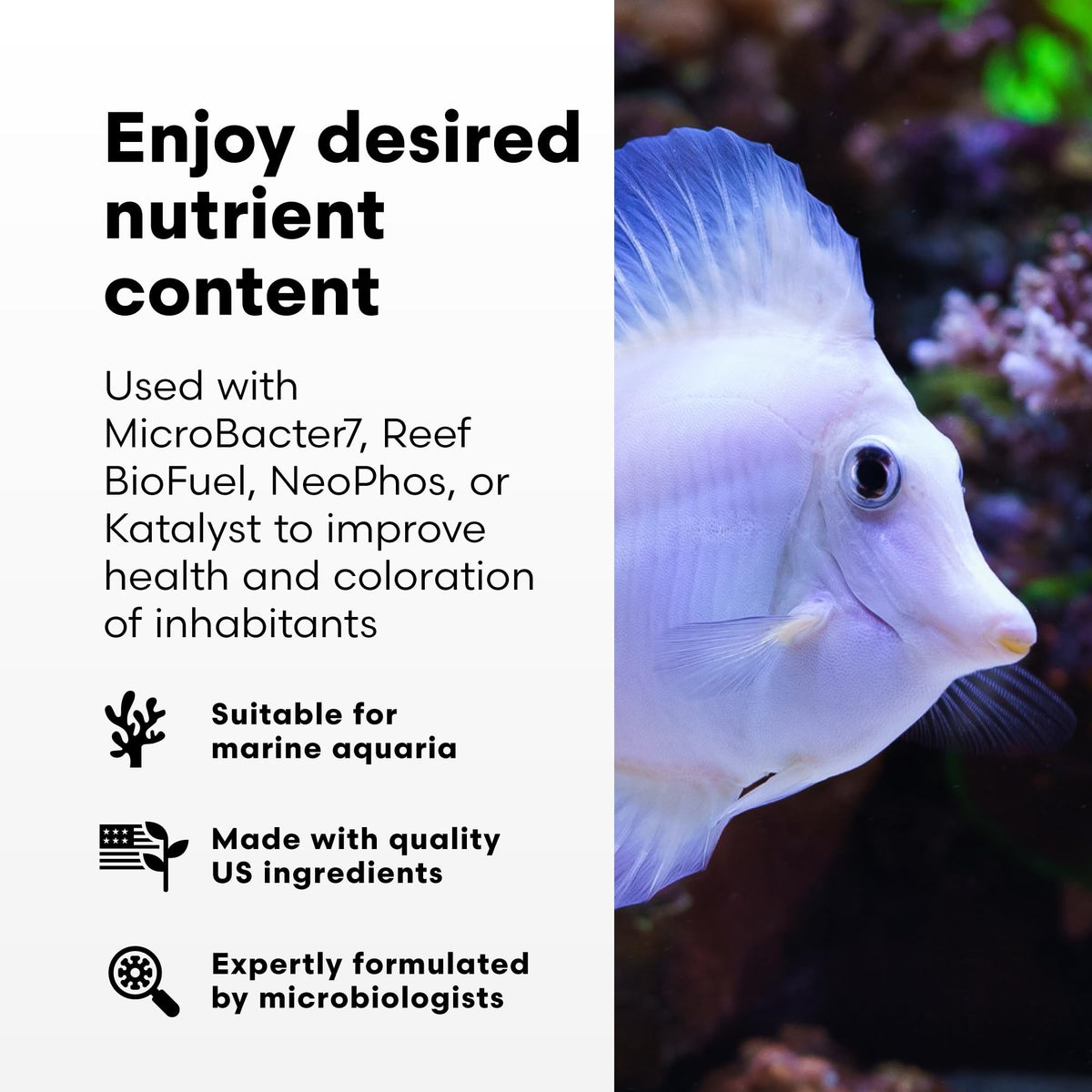 Brightwell Aquatics NeoNitro - Nitrogen Supplement for Low Nutrient ... - Aquarium Nutrient Supplements