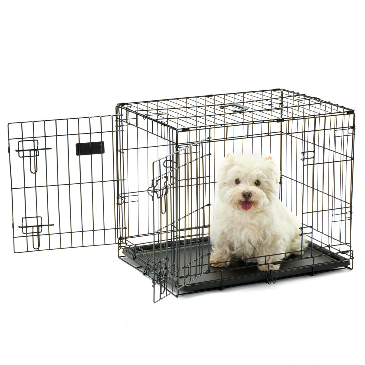 Carlson Secure And Compact Double Door Metal Dog Crate, Small With Div ...