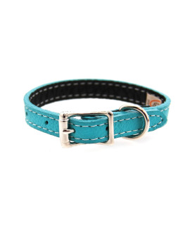 Tuscan Leather Dog Collar by Auburn Leather - Turquoise