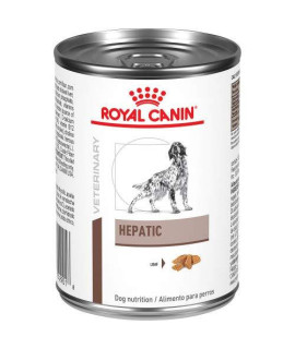 Royal Canin Veterinary Diet Canine Hepatic In Gel Canned Dog Food, 14.5 oz