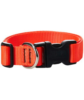 LupinePet Basics 1 Blaze Orange 16-28 Adjustable collar for Large Dogs