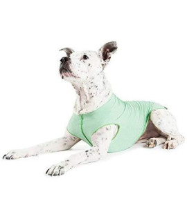 gold Paw Sun Shield Dog Tee - T-Shirt for canines - UV Protection Pet Anxiety Relief Wound care - Protects Against Foxtails Aids Alopecia - Machine Washable All Season - Size 26 - Pistachio