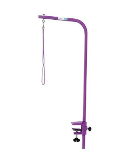 Master Equipment Powder Coated Steel Grooming Arm with Clamp (36 Adjustable Arm) and Dog Grooming Loop, Purple