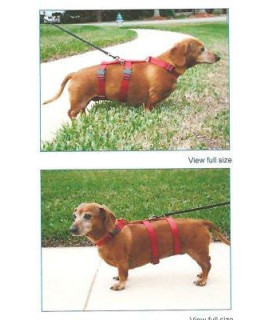 Harness For Dachshunds & Small Breeds. Cats Too