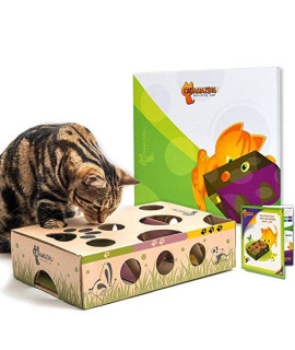 CAT AMAZING  Best Cat Toy Ever! Interactive Treat Maze & Puzzle Feeder for Cats
