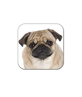 Little Gifts Coasters, Pug