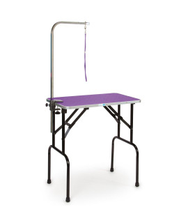 Master Equipment grooming Table w36In grooming Arm 30x18In Purple
