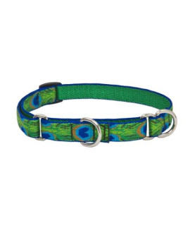 LupinePet Originals 3/4 Tail Feathers 10-14 Martingale Collar for Small Dogs