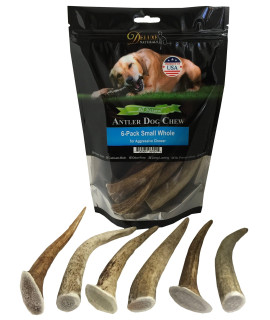 Deluxe Naturals Elk Antler Dog chews Long-Lasting A-grade Premium Elk Antler chews for Dogs from Naturally Shed Elk Antlers collected in The USA, 6-Pack Small Whole
