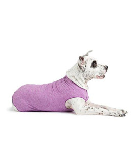 gold Paw Sun Shield Dog Tee - T-Shirt for canines - UV Protection Pet Anxiety Relief Wound care - Protects Against Foxtails Aids Alopecia - Machine Washable All Season - Size 12 - Violet