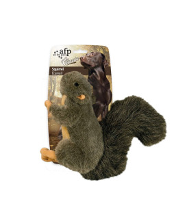 All for Paws Pet Squirrel Plush Toys, Dog Squeaky Toy, Large