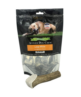 Deluxe Naturals Elk Antler chews for Dogs Naturally Shed USA collected Elk Antlers All Natural A-grade Premium Elk Antler Dog chews Product of USA, Single Pack Large Whole