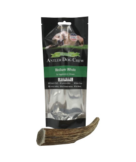 Deluxe Naturals Elk Antler chews for Dogs Naturally Shed USA collected Elk Antlers All Natural A-grade Premium Elk Antler Dog chews Product of USA, Single Pack Medium Whole