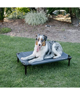 Lucky Dog 36'' Elevated Pet Bed Cot | Indoor & Outdoor Use | Gray