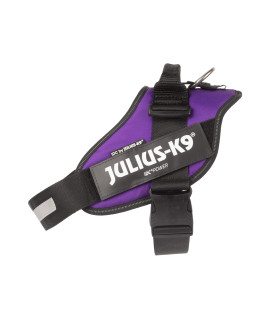 Julius-K9 Idc Powerharness, Size: Xl2, Dark Purple
