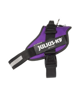 Julius-K9 Idc Powerharness, Size: 2Xl3, Dark Purple