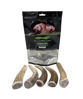 Deluxe Naturals Elk Antler Chews For Dogs Naturally Shed Usa Collected Elk Antlers All Natural A-Grade Premium Elk Antler Dog Chews Product Of Usa, 5-Pack Medium Whole