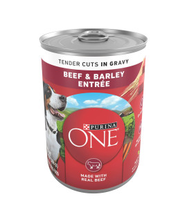 Purina ONE Natural Wet Dog Food Gravy, Tender Cuts in Gravy Beef and Barley Entree - 13 oz. Can
