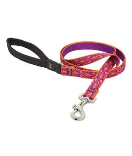 LupinePet Originals 3/4 Alpen Glow 6-Foot Padded Handle Leash for Medium and Larger Dogs