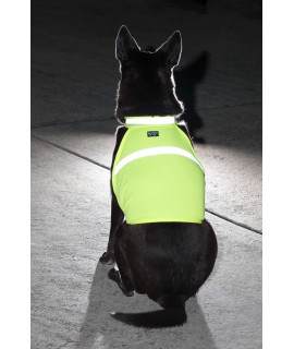 2PET Dog Hunting Vest and Safety Reflective Vest - Used for High Visibility - Protects Pets from Cars & Hunting Accidents in Both Urban and Rural Environments - Small Beaming Yellow