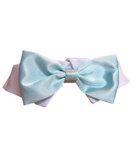 Pooch Outfitters Dog Tie and Bow Tie Collection | Extensive Selection for Any Style, Mood, Occasion, and Holiday | Small, Medium, Large Dogs