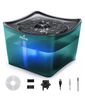 iPettie Kamino Pet Water Fountain, 101oz/3L, Ultra-Quiet Automatic Cat Water Dispenser with LED Light & Water Level Window, Auto Power Off USB Pump & Dual Filters for Cats and Dogs, Translucent Green