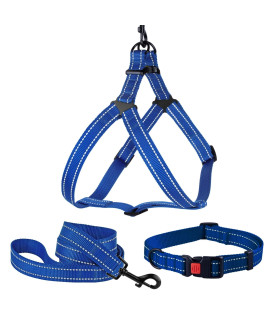 Reflective Dog Collar, Leash, and a Harness - Bundle for a Medium Dog Boy, Girl, or Puppy - 12-16 Inch Neck fit - Blue Bright Color - 5ft Leash