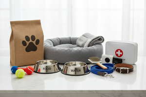 Essential Pet Supplies Every Pet Owner Should Have