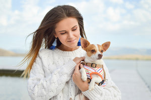 2025 Holiday Gift Guide: Sustainable, Stylish, and Health-Focused Innovations for Pets and Their Owners