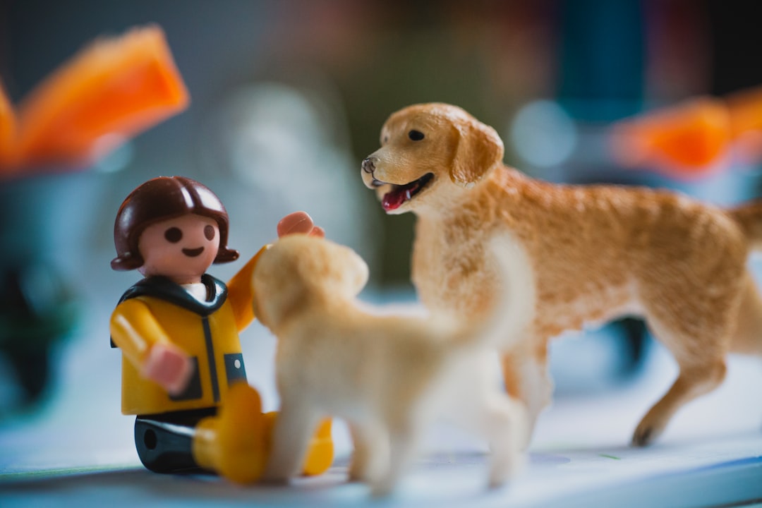 What Your Dog’s Favorite Toys Reveal About Their Personality and Instincts