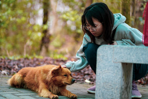 The Comprehensive Health Benefits of Pet Ownership and Human-Animal Interaction