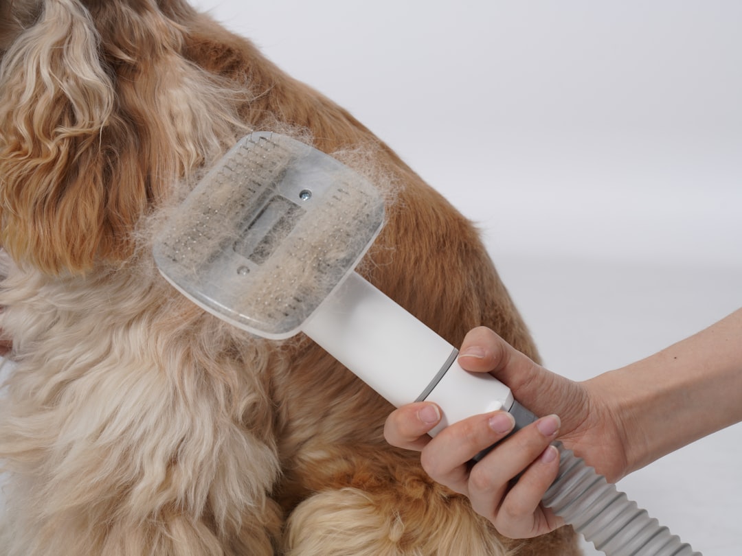 The Ultimate Guide to Reducing Dog and Cat Shedding: Expert Tips, Grooming Tools, and Home Solutions