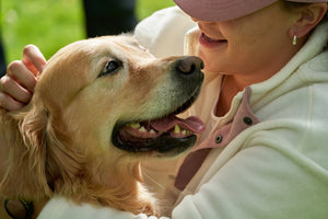 Essential Dog Care Tips and Expert Advice for First-Time Pet Owners