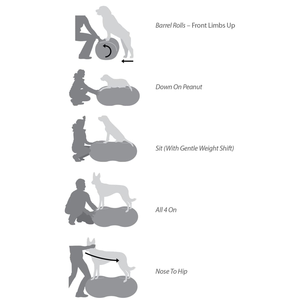 Fitpaws® Trax™ Balance Peanut – 60Cm/24” | Dog Exercise Equipment For Fitness & Rehabilitation | Workout Tool For Strength, Core & Stability