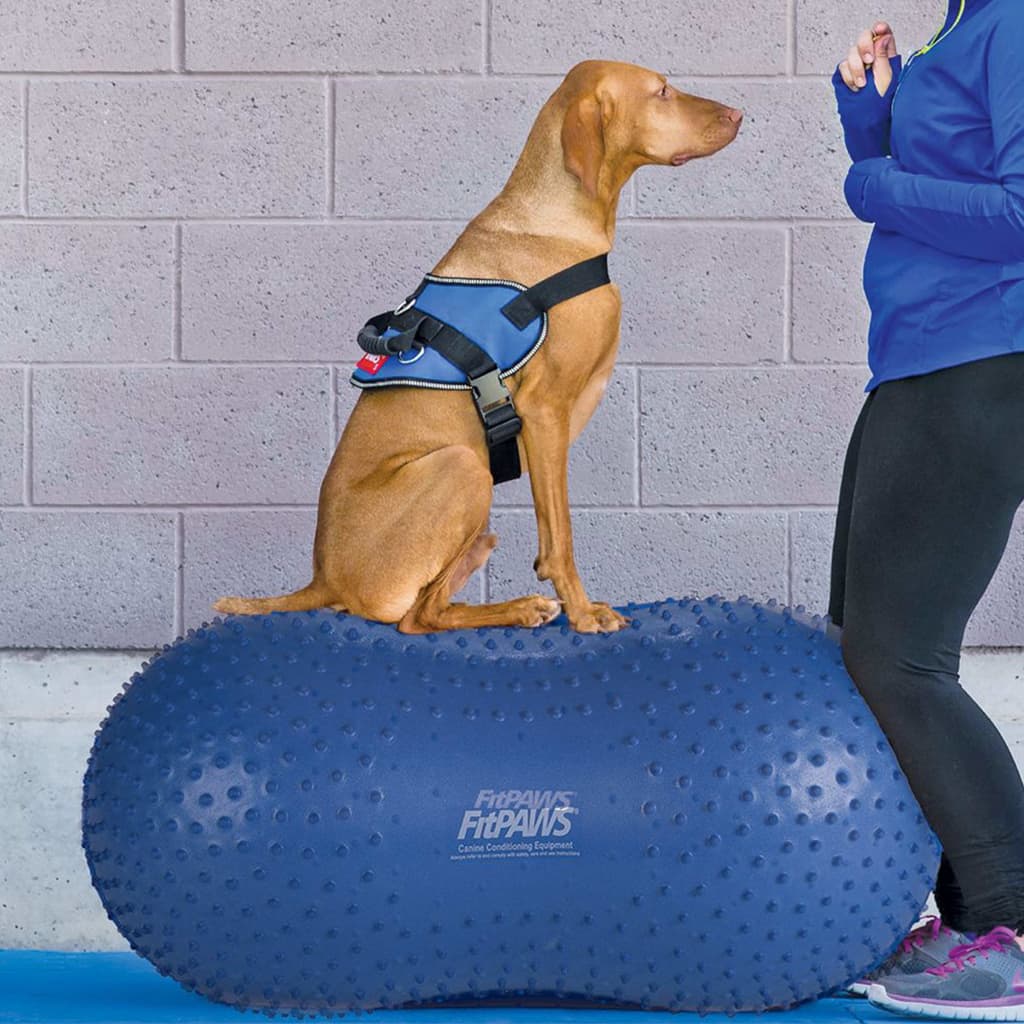 Fitpaws® Trax™ Balance Peanut – 60Cm/24” | Dog Exercise Equipment For Fitness & Rehabilitation | Workout Tool For Strength, Core & Stability