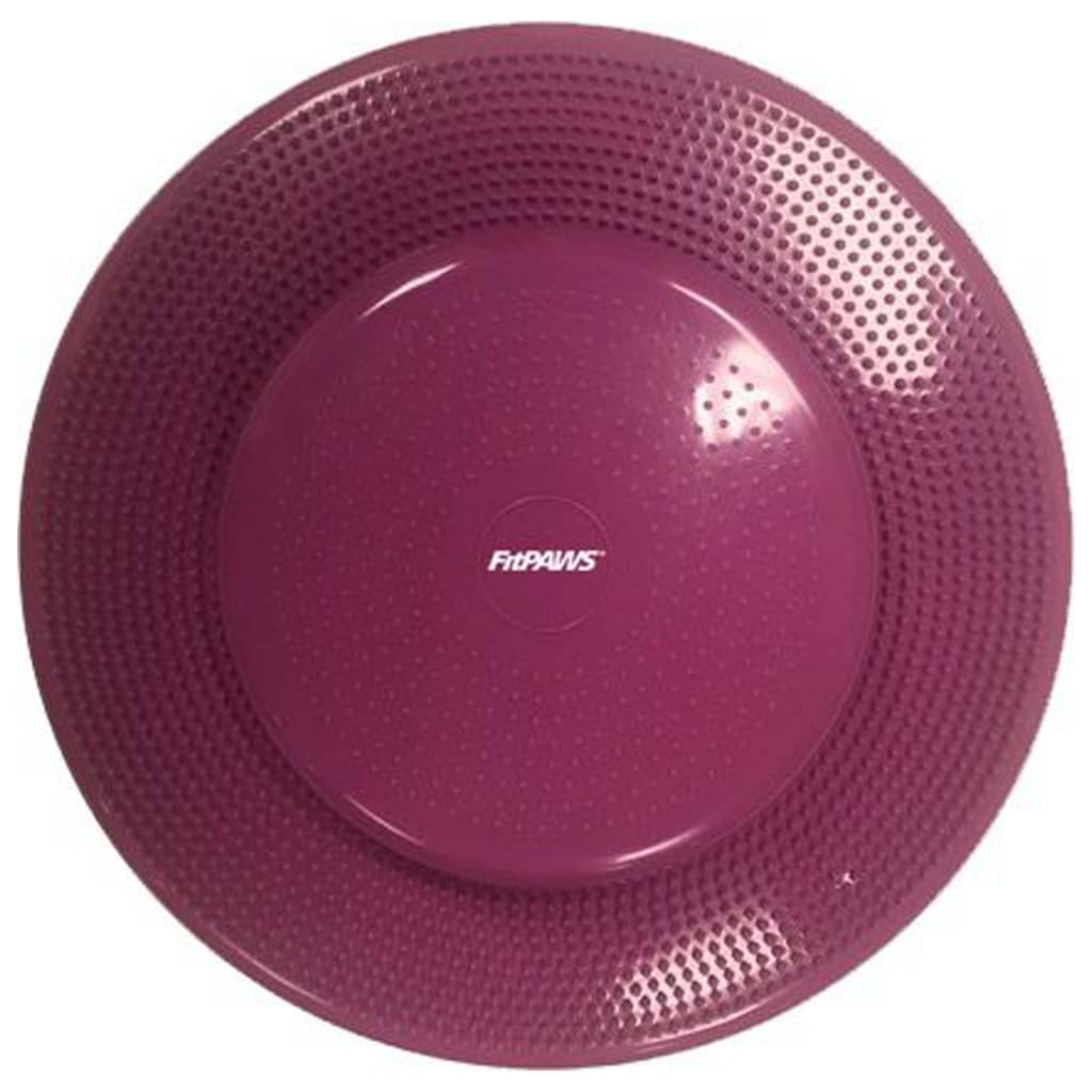 Fitpaws® Dog Balance Disc - Razzleberry, 14' | Dog Exercise Equipment | Workout Tool For Strength, Core, Stability & Rehabilitation