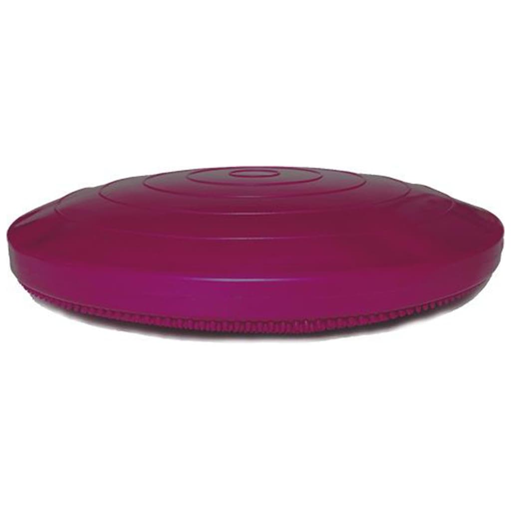 Fitpaws® Dog Balance Disc - Razzleberry, 14' | Dog Exercise Equipment | Workout Tool For Strength, Core, Stability & Rehabilitation