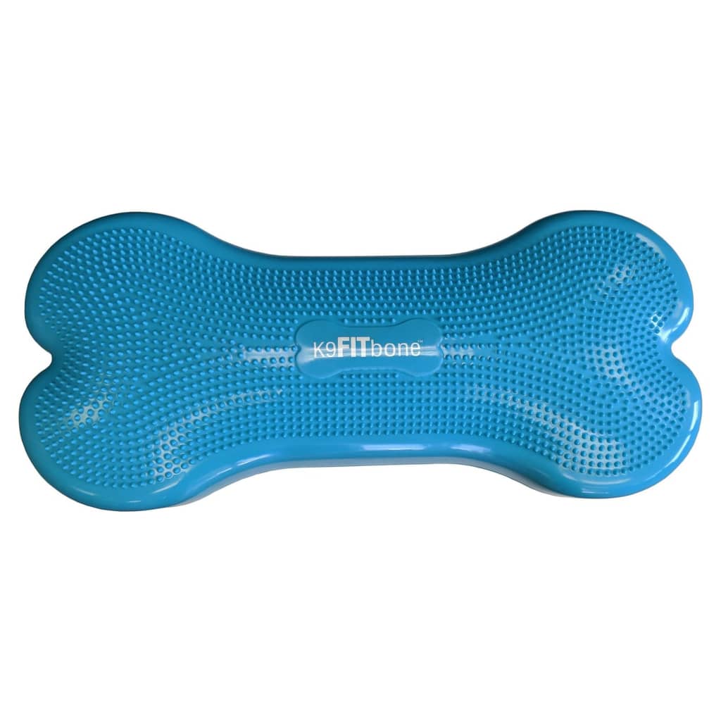 Fitpaws® K9Fitbone® - Giant, Turquoise | Dog Balance Training Platform & Exercise Equipment | Workout Tool For Strength, Core & Stability