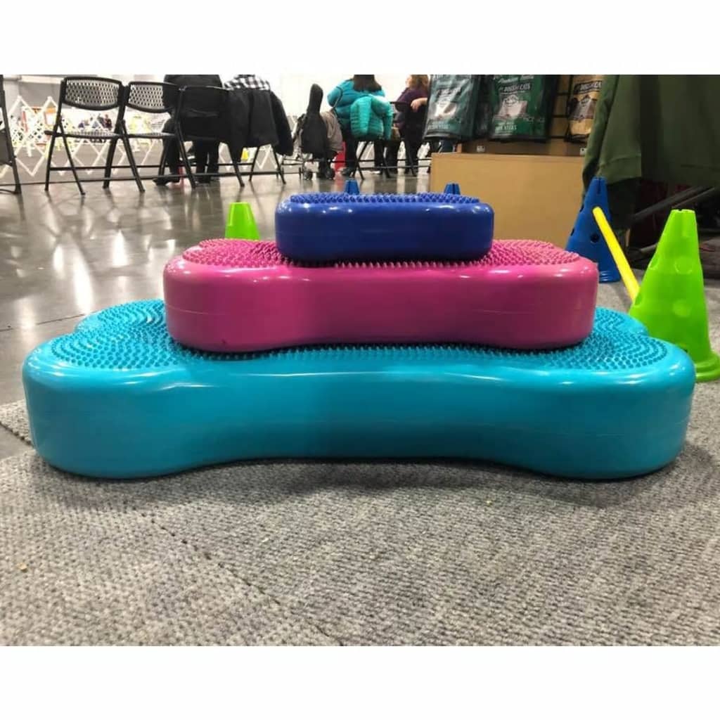 Fitpaws® K9Fitbone® - Giant, Turquoise | Dog Balance Training Platform & Exercise Equipment | Workout Tool For Strength, Core & Stability