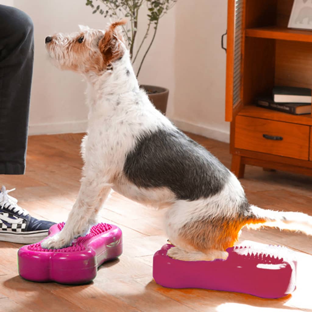 Fitpaws?K9Fitbone?- Mini, Razzleberry (Set Of 2) | Dog Balance Training Platform & Exercise Equipment | Workout Tool For Strength, Core & Stability
