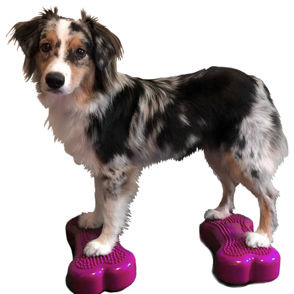 Fitpaws?K9Fitbone?- Mini, Razzleberry (Set Of 2) | Dog Balance Training Platform & Exercise Equipment | Workout Tool For Strength, Core & Stability
