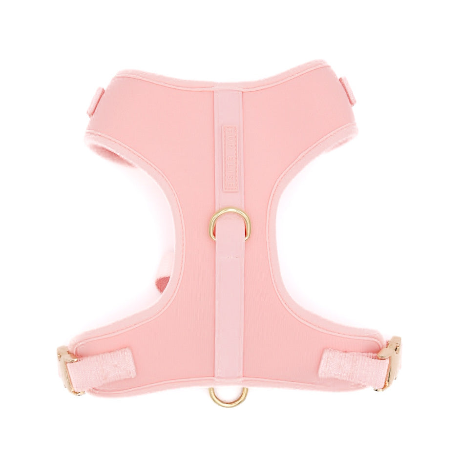 The Essentials Walk Set - Rose