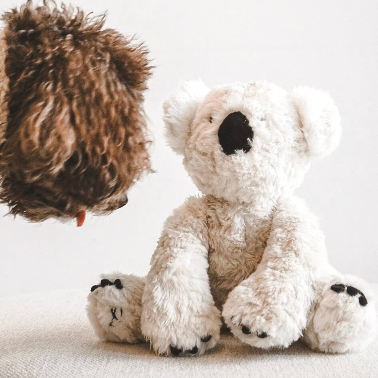 Koko Plushie Set