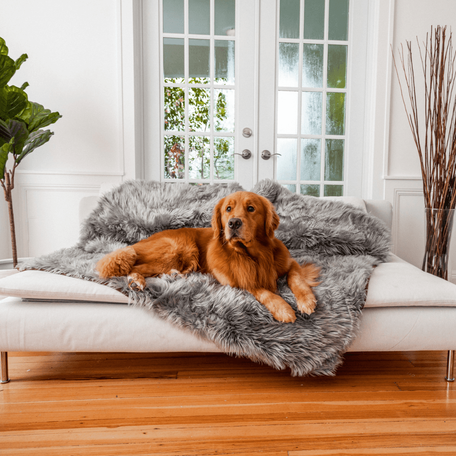 PupProtector Waterproof Throw Blanket - Charcoal Grey