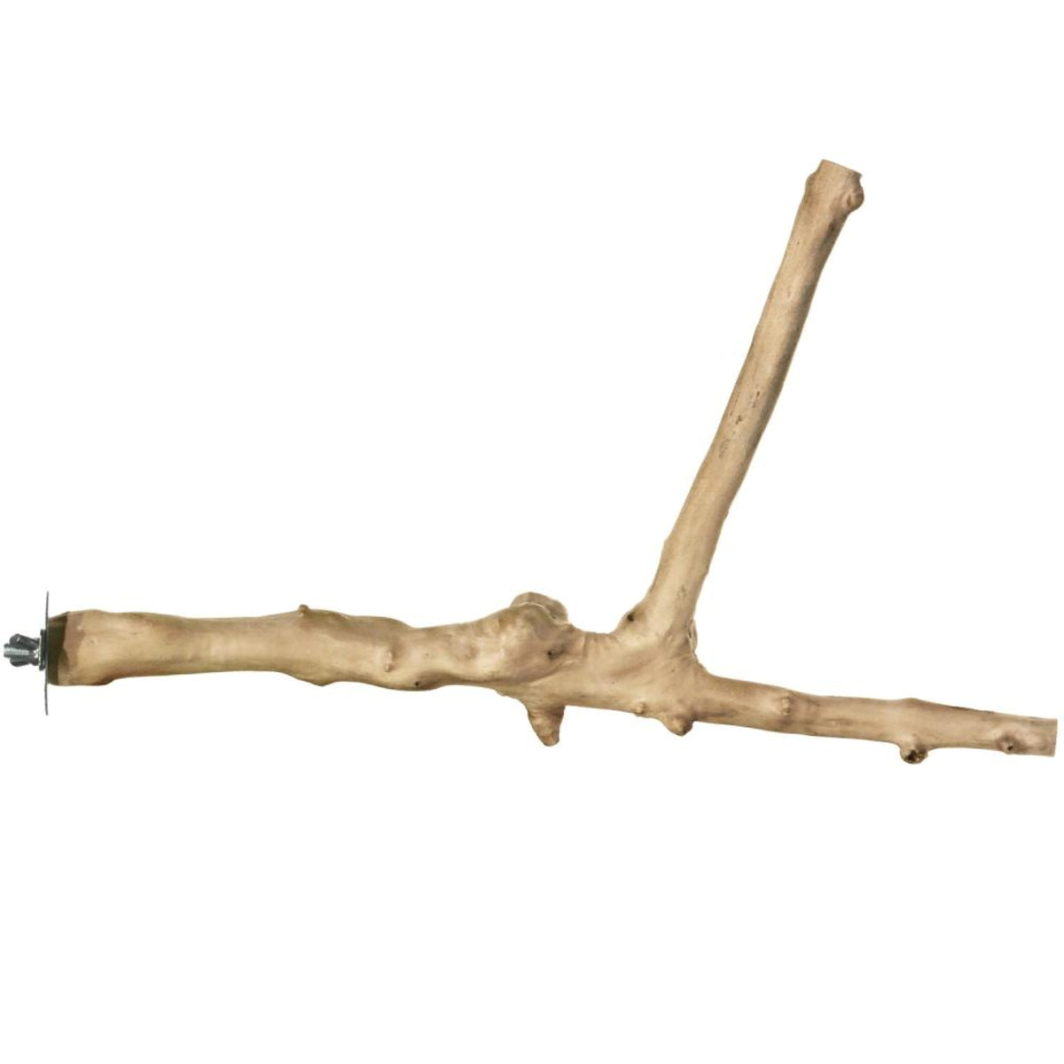 18'' Y-Branch Coffea Wood Bird Perch