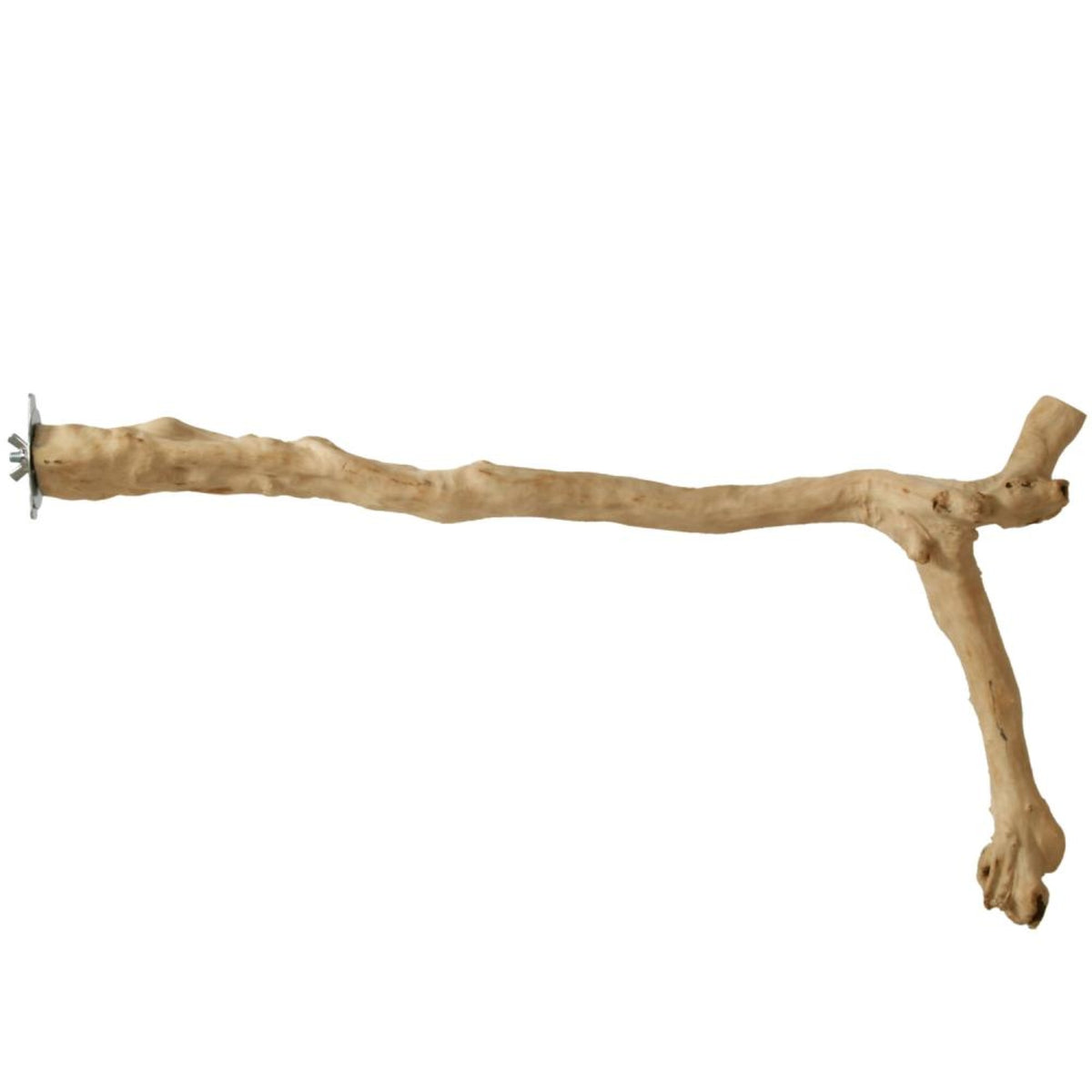 24'' Y-Branch Coffea Wood Bird Perch