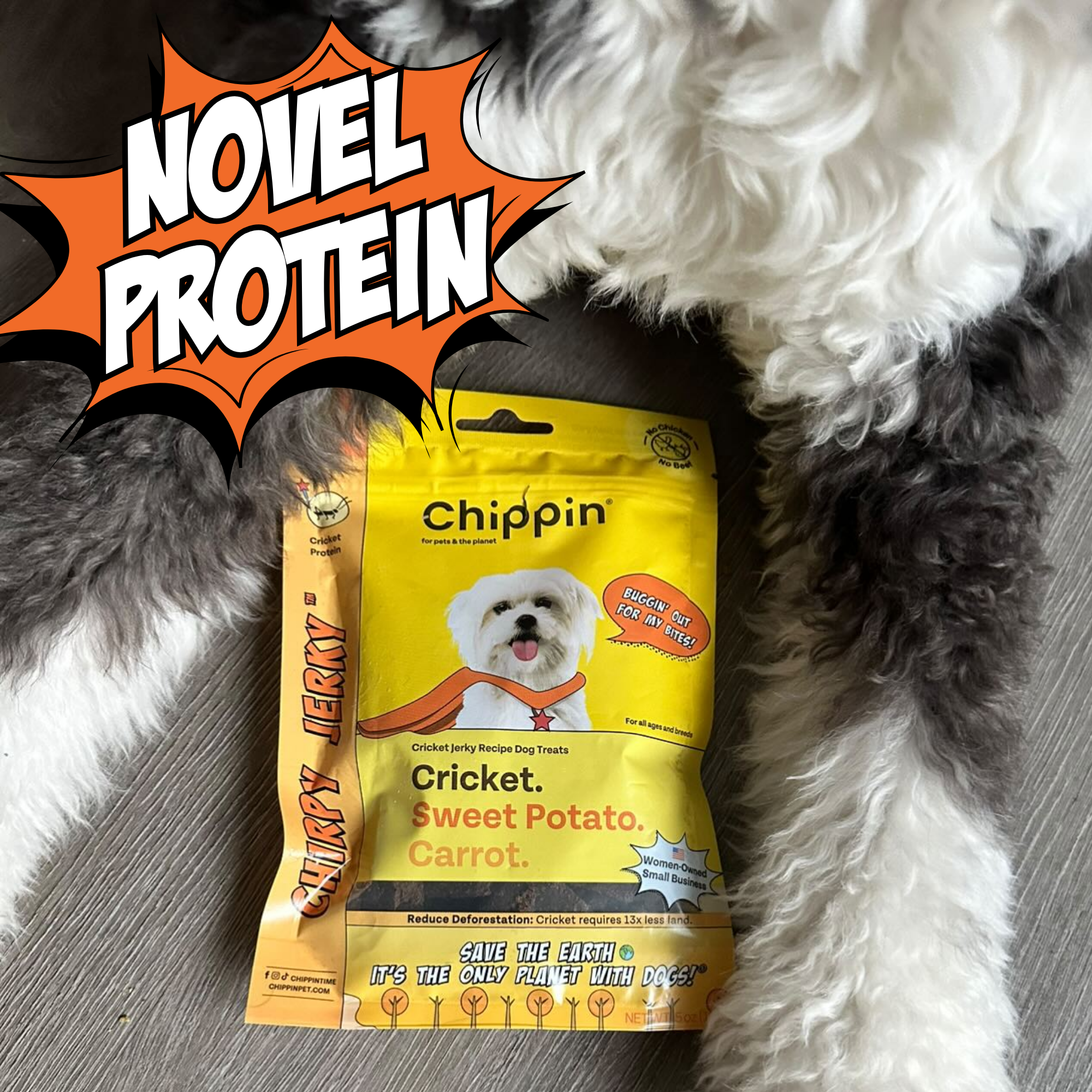 Cricket & Sweet Potato Jerky Dog Treats, 4-Pack