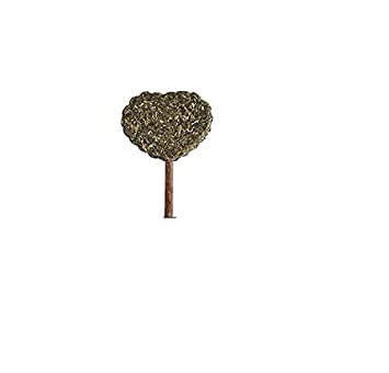 Dog Trust Catnip Toy For Cats Catnip Edible Natural Lollipop Interactive Toy Licking Treats Toys For Cats Kitten Kitty