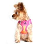 American River Choke-Free Dog Harness - Raspberry and Orange Sorbet Ombre